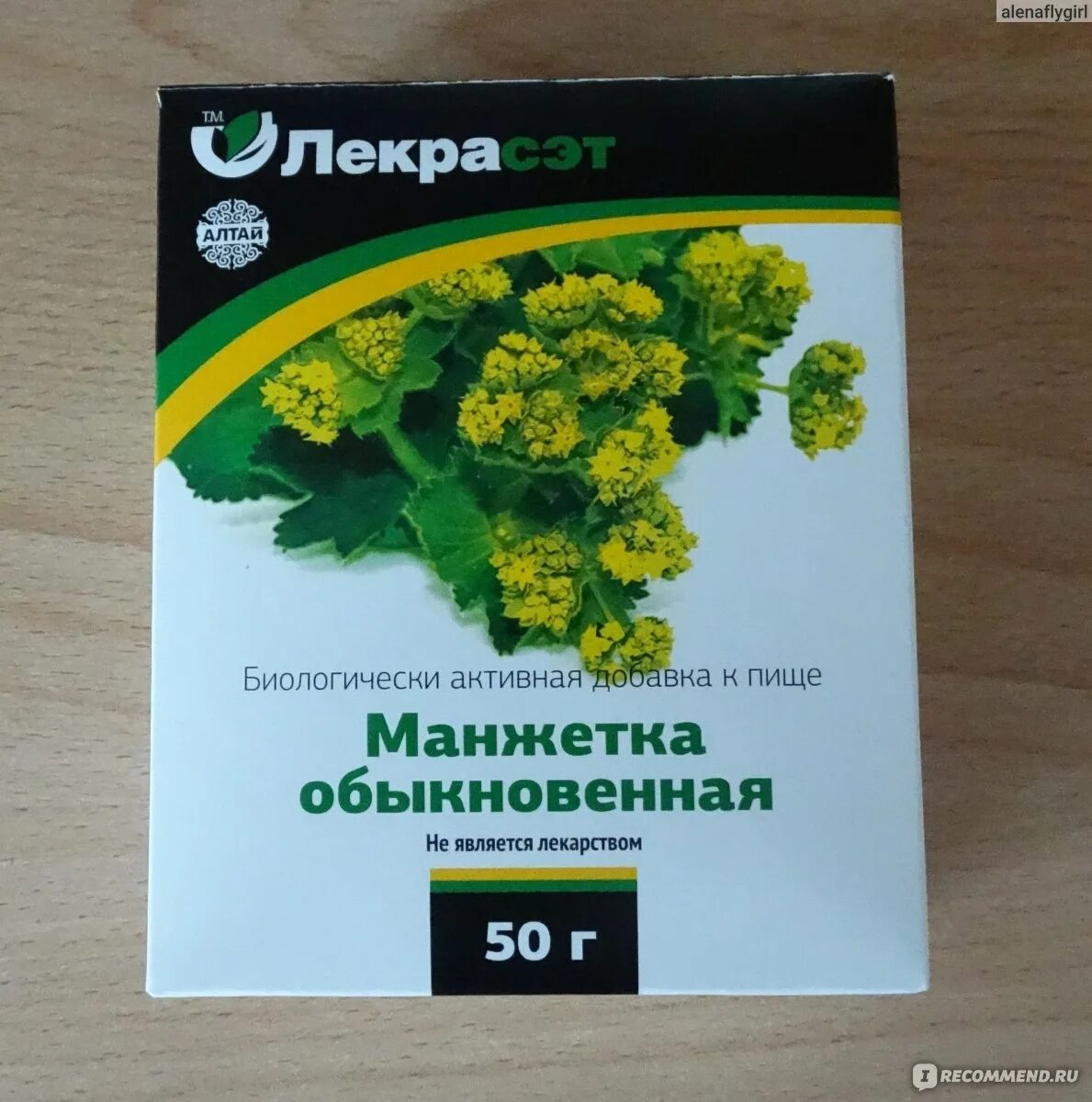 Травы при простудных заболеваниях. Трава манжетка применение. Растение манжетка обыкновенная. Манжетка корень. Манжетка отзывы.