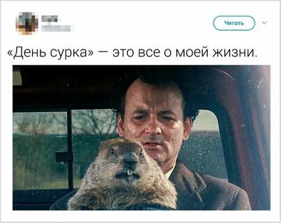 День сурка что означает это выражение