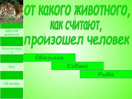 Какое животное стало первым