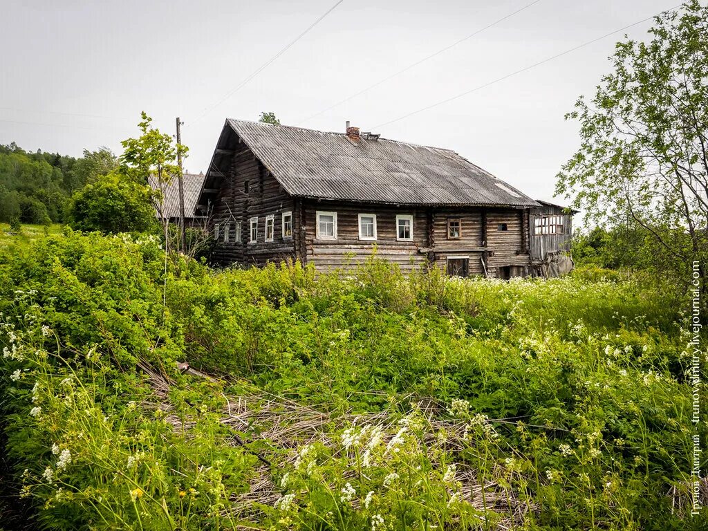 Почему деревня лучше города. Деревня Шангиничи. Заброшенная деревня. Заброшенный деревенский дом. Брошенные дома в деревнях.