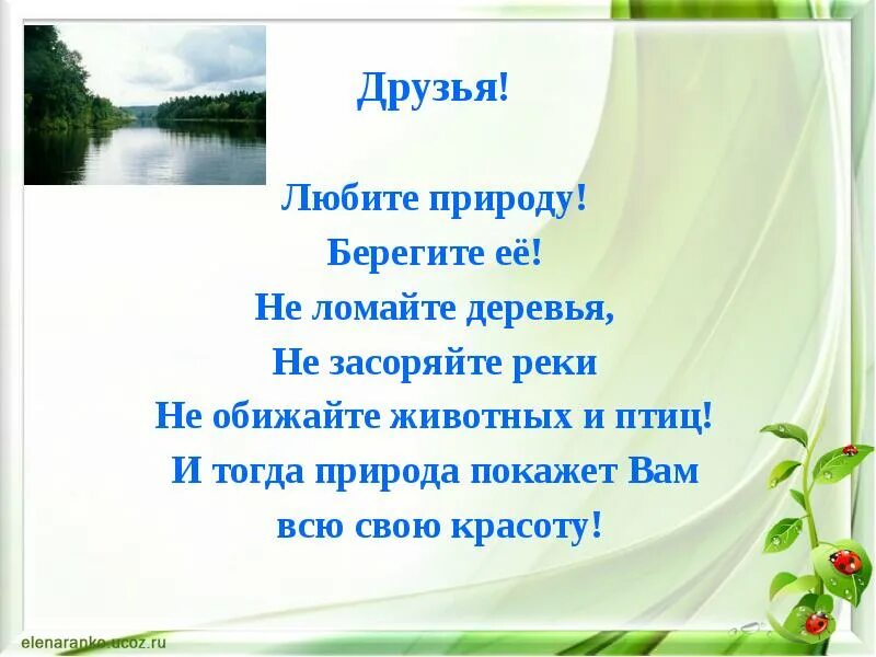 Сообщение берегите природу 6 класс. Берегите природу. презентация на тему беречь природу. берегите природу текст. любите и берегите природу.