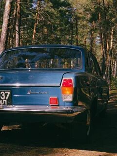 24 ноября 1977