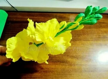 Гладиолусы из бумаги своими руками