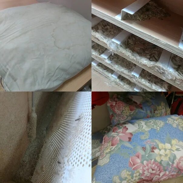 Как почистить перьевую