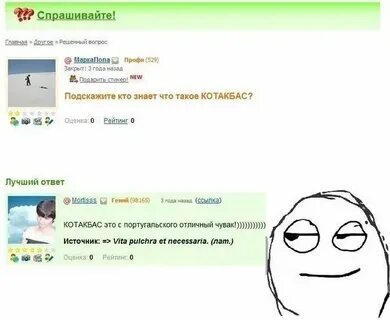Котокбас что это
