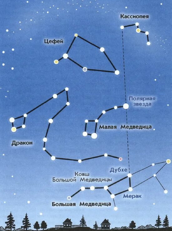 Созвездие в любое время года. Большая и малая Медведица Кассиопея. Созвездие Орион Лев лебедь Кассиопея большая Медведица. Созвездие малая Медведица на Звездном небе. Созвездие Кассиопея большая Медведица и малая Медведица.