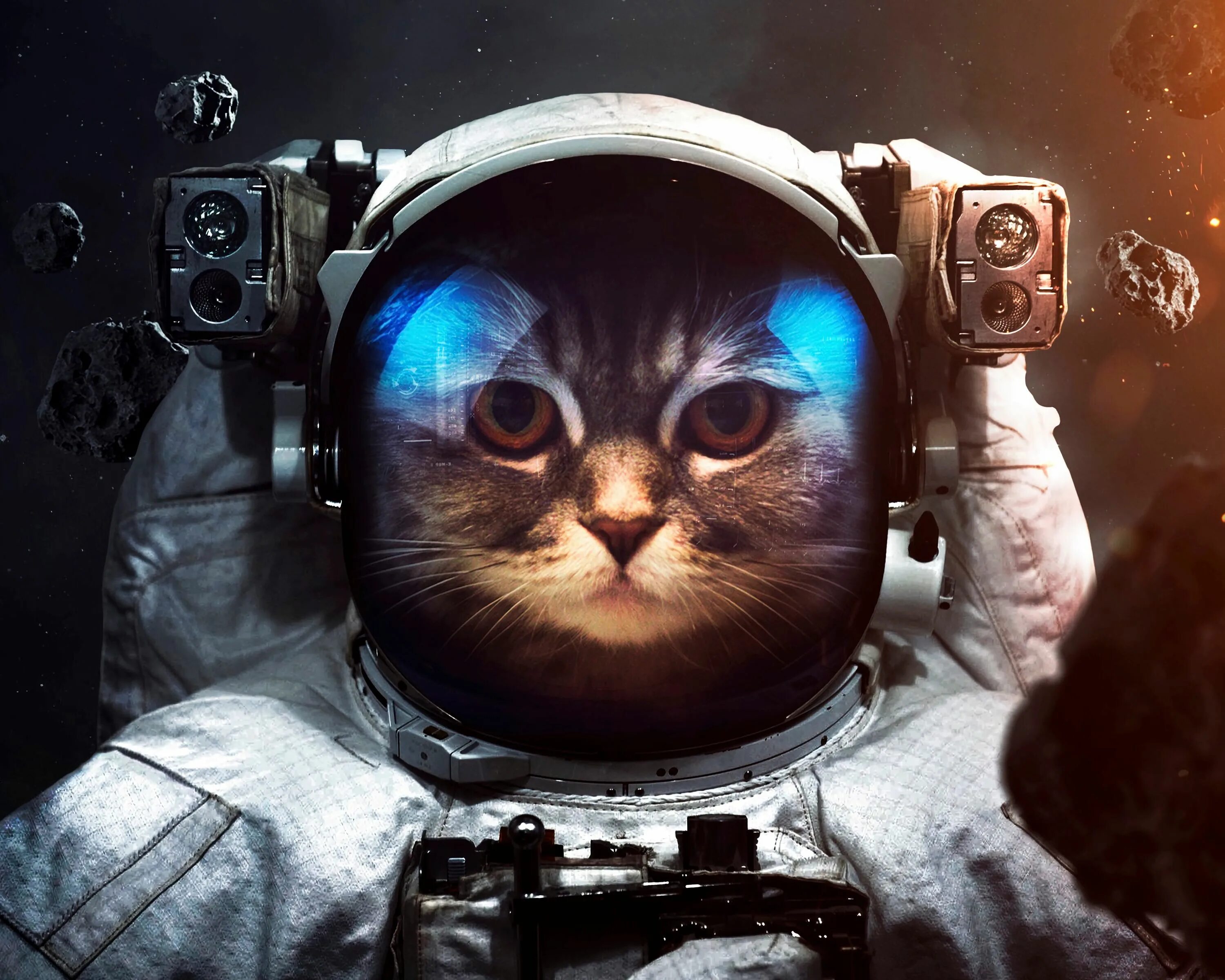 Космический кот. Скафандр. Кот космонавт. Котик в скафандре. Смешной космос