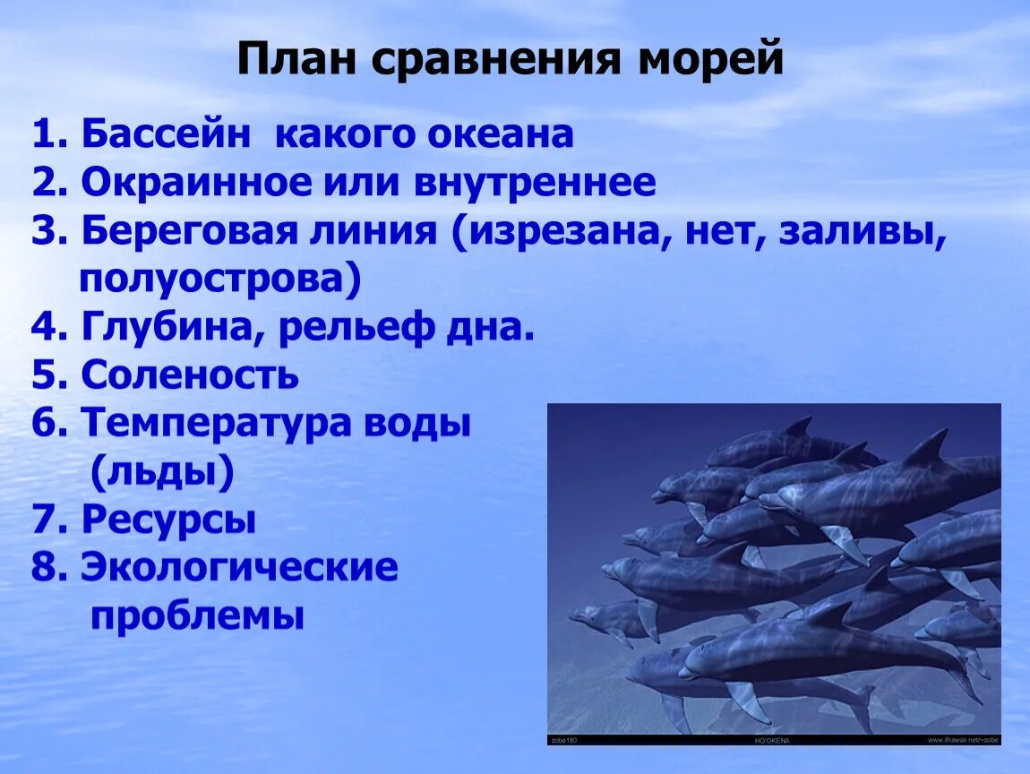 Белое море к бассейну какого океана относится. Изрезанность береговой линии белого моря. План сравнения морей. Изрезанность Атлантического океана. Белое море внутреннее или окраинное.