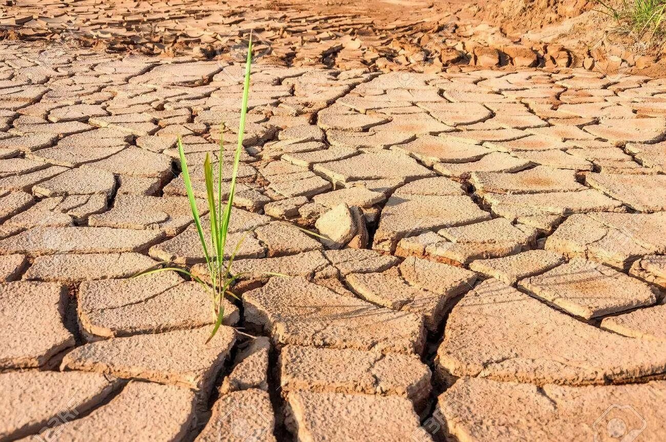 Всемирный день борьбы с опустыниванием и засухой. 17 Июня Всемирный день борьбы с опустыниванием и засухой. Аридное опустынивание. Засуха пиксабай.