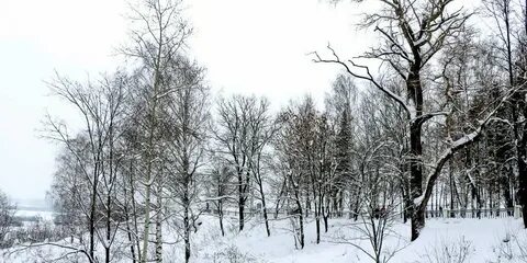 Погода на 14 дней осиново