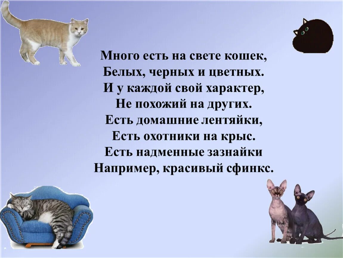 Жил на свете котенок. Живут на свете кошки. У каждого свой кот. Много на свете кошек. Кошка свет.