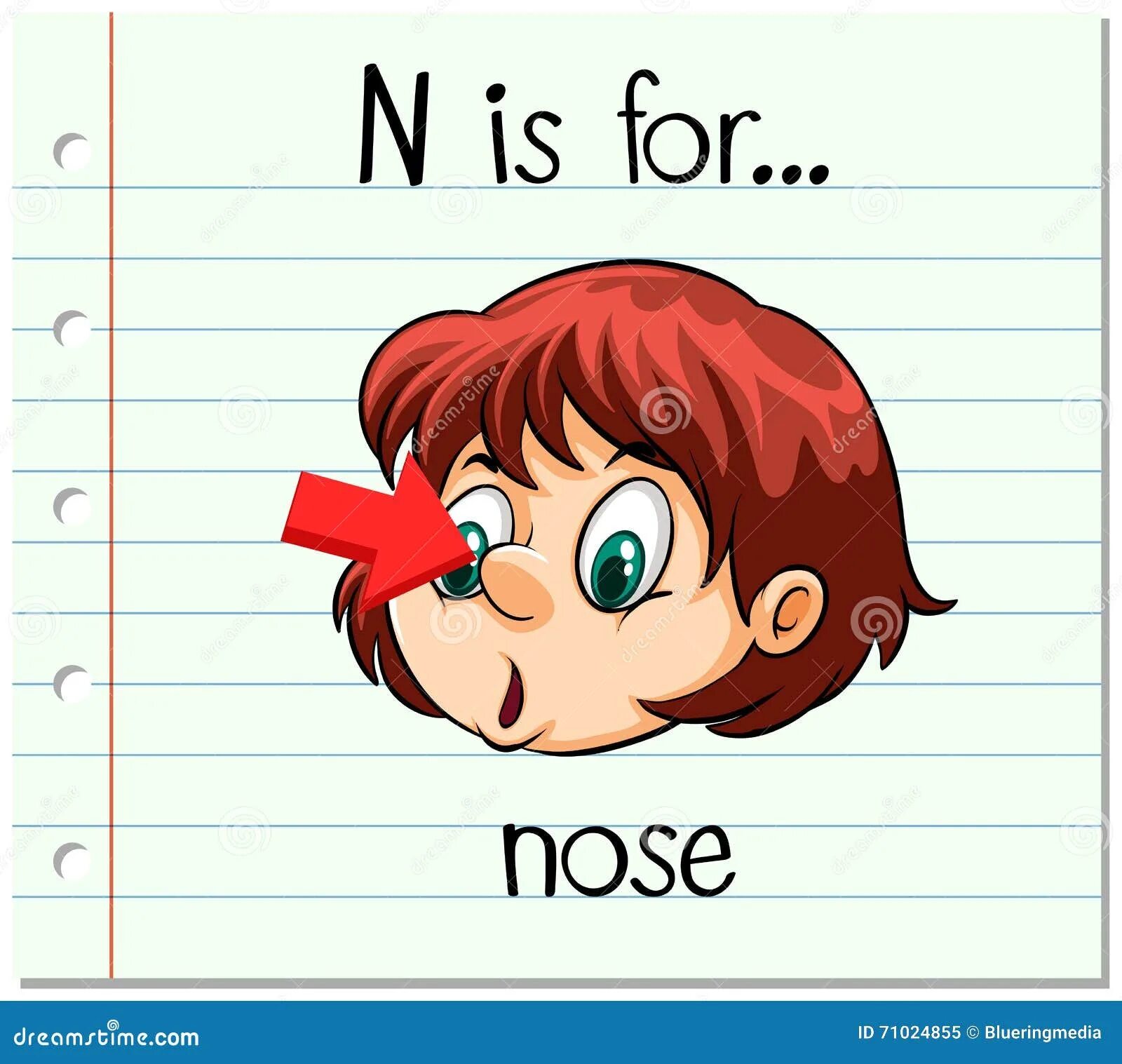 Нос перевести на английский. Нос на английском картинка. N is for nose. Нос на английском для детей. Буква nose с картинкой.