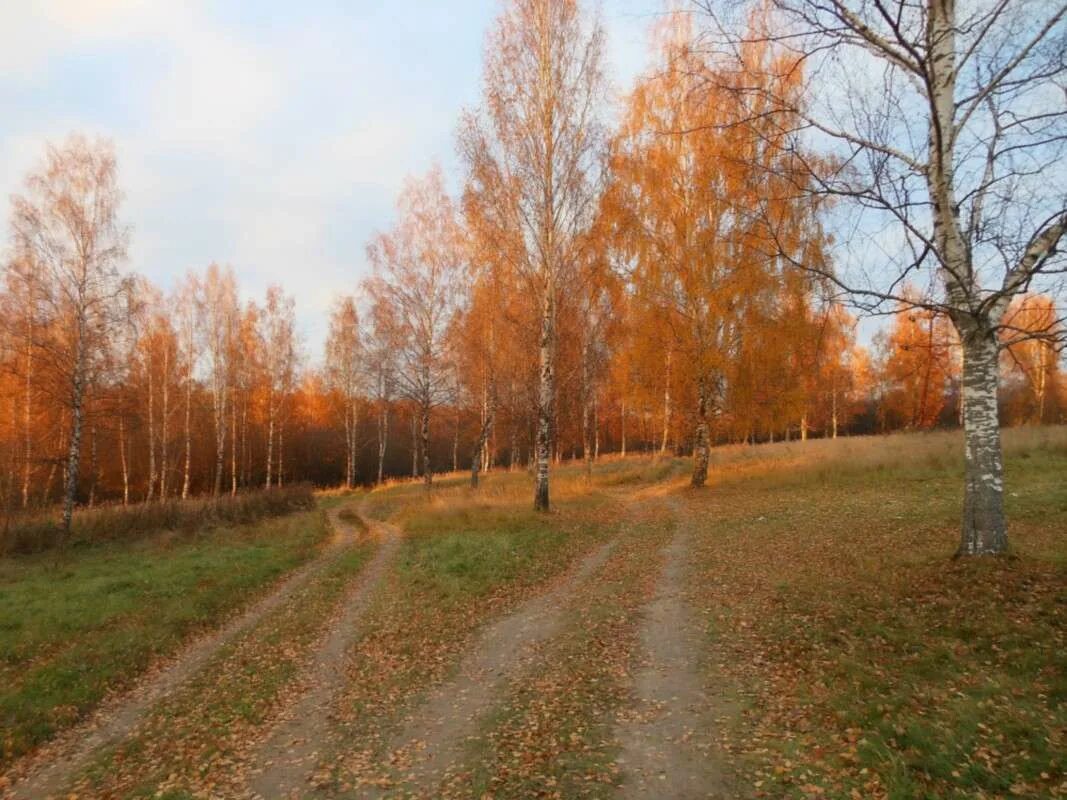 осенняя фотосессия детей. бронзовое осень две сестры. бронзовая осень дзен. канал бронзовая осень. бронза осенью.