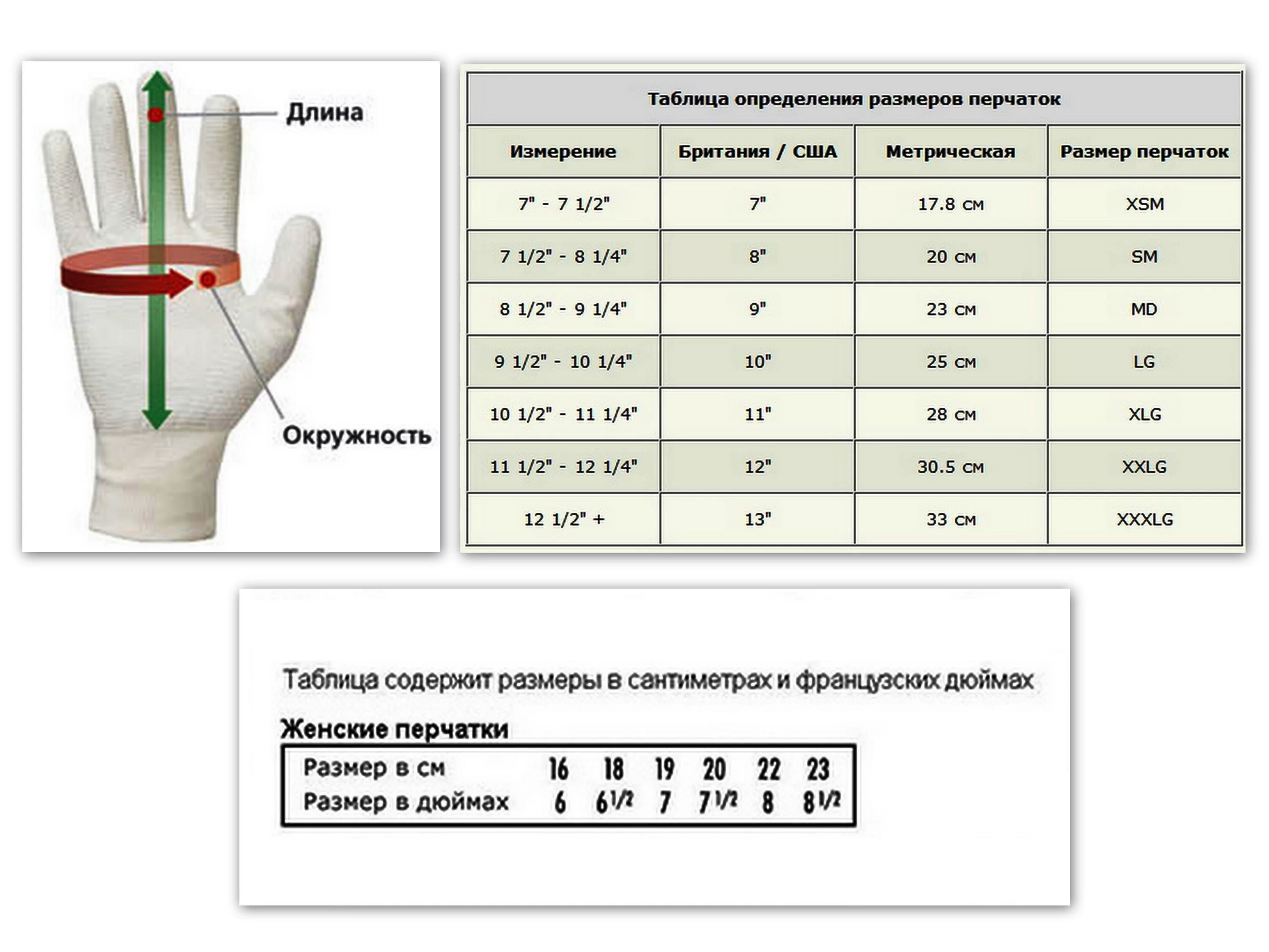 Размерная сетка перчаток женских. Размерная сетка перчаток мужских. Перчатки мужские кожаные Размерная сетка. Размерная таблица перчаток мужских. Размеры перчаток s m