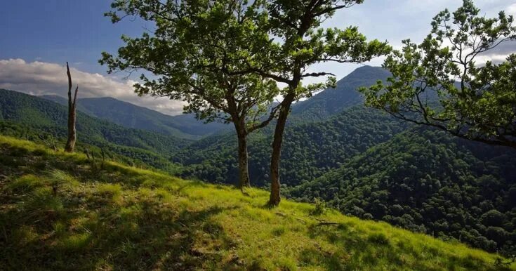 Крымский национальный парк фото