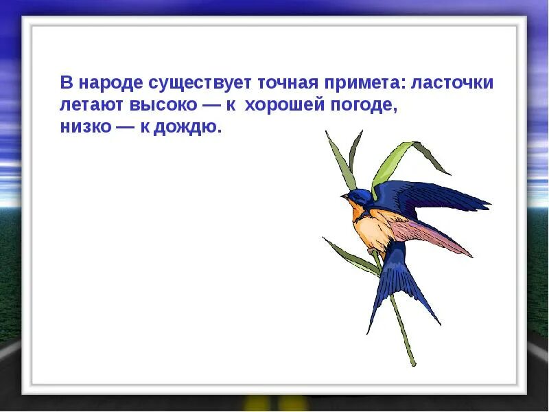 Русская пословица ласточка день начинает. Примета ласточки летают. Приметы про ласточек. Народные приметы ласточки низко летают. Примета ласточки низко летают к дождю.