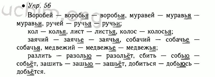 Упр 591 5 класс. Русский язык 5 класс номер 56. Воробей воробья воробьи муравей ручей Кол колья лист Колос. Русский язык 5 класс страница 28 номер 56.