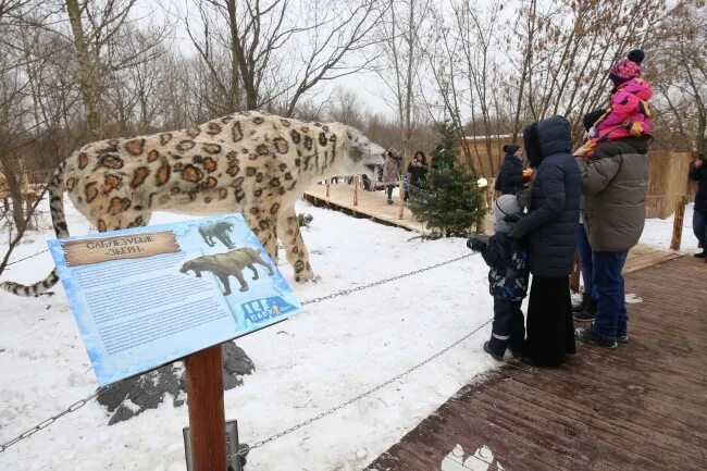 Айс открой. Парк Ледниковый период красная Поляна. Ice парк в Крылатском. «Изумрудный» Ice Park. Ледниковый парк Иваново.