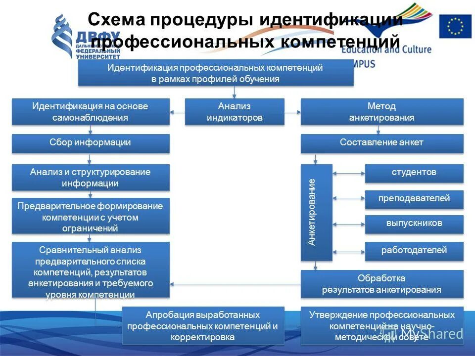 Модульная основная образовательная программа. Идентификация в воспитании. Идентификация обучения. Частная дерматоглифическая конституция. Идентификация аутентификация авторизация.