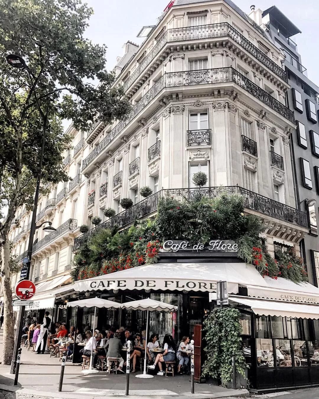 Cafe de Flore Париж. Кафе де Флор кафе в Париже. Кафе де Флор Париж фото. Кафе де париж