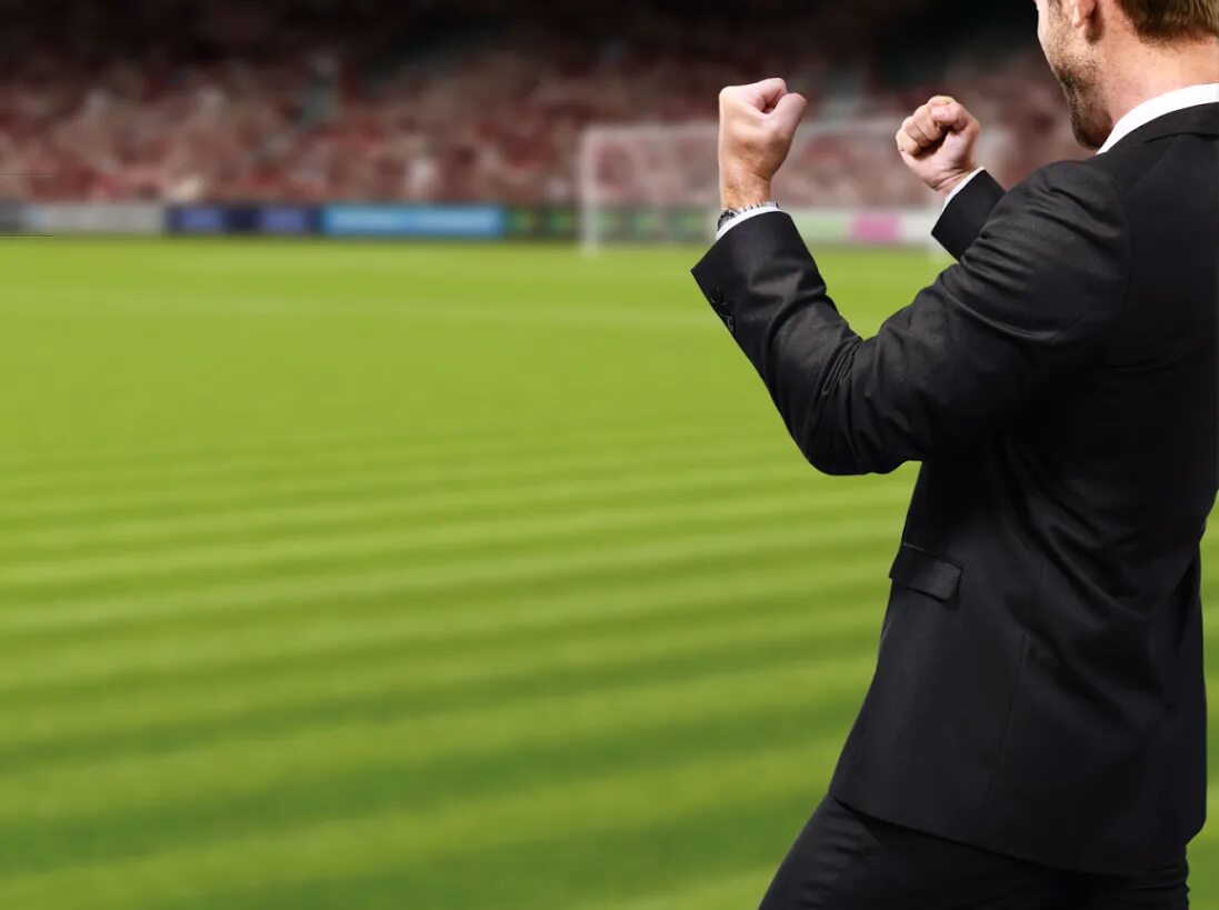 Football Manager 2015. Футбол менеджер. Футбол менеджер игра. Футбол меджеры. Football managers games