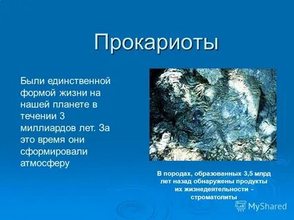 В течение миллиардов лет