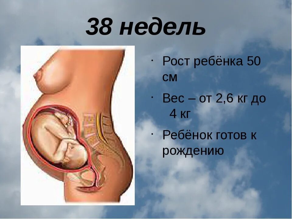 37 Недель беременности вес. Ребёнок на 37 неделе беременности рост и вес. 37 Недель вес ребенка. Вес ребёнка в 37 недель беременности. 37 недель тяжесть