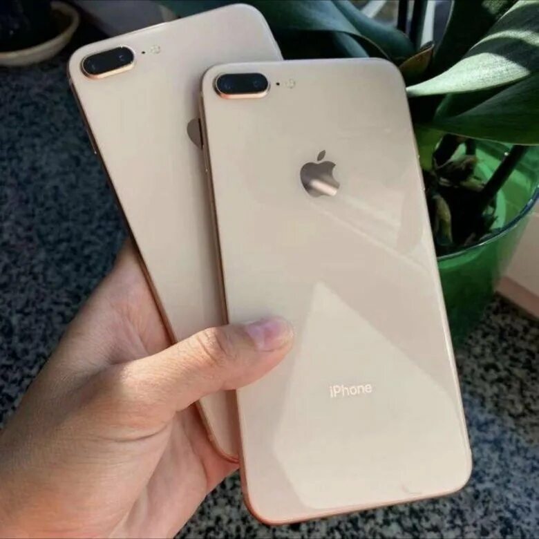 Купить новый айфон плюс. Iphone 8 Plus Gold. Iphone iphone 8 Plus. Iphone 8+ 64gb Gold. Iphone 8 Plus 128gb.