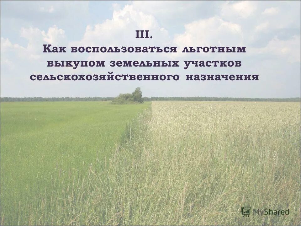 колчановское сельское поселение волховского района официальный сайт. схема расположения земельного участка под гаражом в гск. выкуп земельного участка ленинградская область. краснознаменка выборгский район ленинградской области. огородничество в ленобласти.