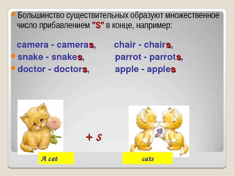 Единственное и множественное число в английском языке 2 класс правило. Схема образования множественного числа в английском. В каких случаях множественное число в английском языке. Правило сущ во мн числе англ яз. Очки во множественном числе