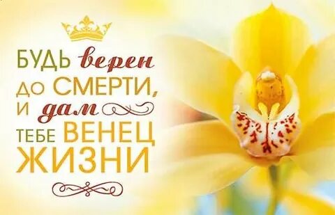 Венец жизни