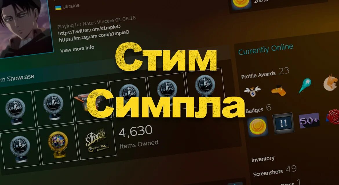 Аккаунт симпла. Симпл аккаунт стим. профиль симпла в стиме. аккаунт симпла в стиме. аватарка стима симпла.