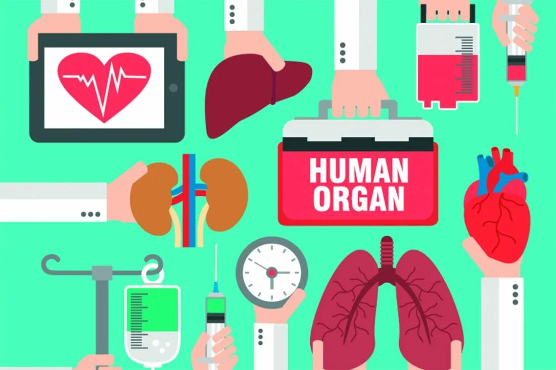 Донор зрение. Трансплантология органов и ткани. Трансплантация органов и тканей человека. Пересадка донорского органа.