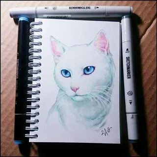 Нарисовать котика маркерами