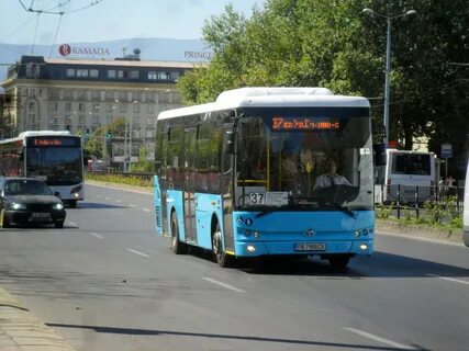 118 автобус спб