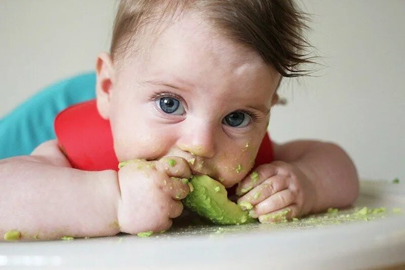 Как научить есть кусочки. Еда для детей. Авокадо прикорм. Авокадо для грудничка прикорм. Ребенок ест авокадо.
