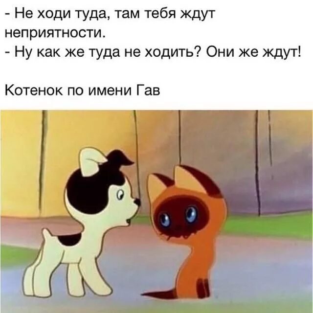 Ведь не я тебя милый заставила. Не ходи ты за мною хороший мой и в окошко мое. По тропе по тропе запорошенной слова. Не ходи ты хороший и мои. Не ходи за мной я сам заблудился.