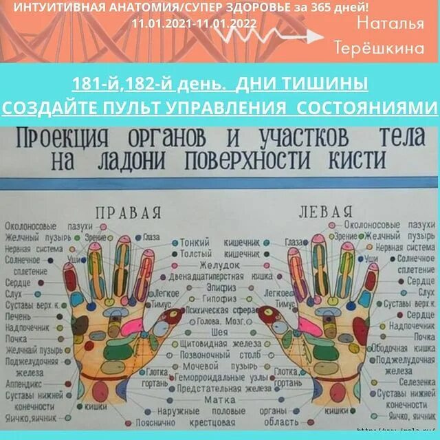 обозначение органов на ладони. су джок система соответствия кисти. точечный массаж руки схема. проекция внутренних органов на пальцах рук. рефлекторные точки на ладонях.