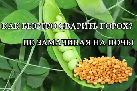 Горох быстро