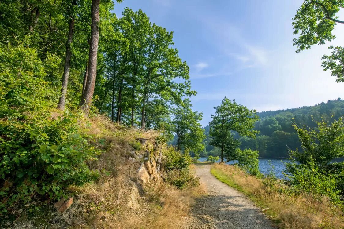 дорога к реке. дорога к реке. тропинка вдоль реки. дорога к речке. дер берново река тьма.