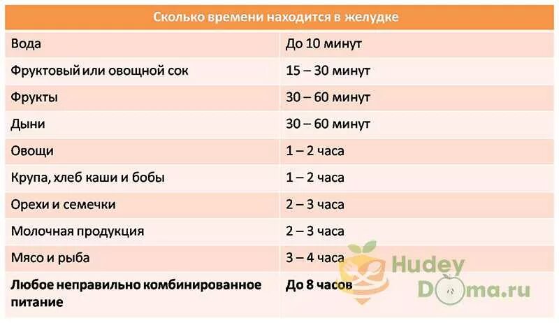 Сколько пища переваривается и выходит. Сколько переваривается пища. Таблица переваривания пищи. Сколько времени переваривается пища. Что сколько переваривается в желудке.