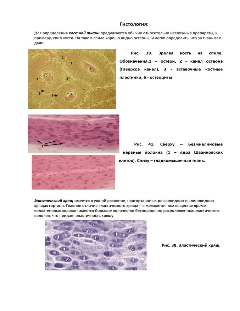 Histology Of Collagen Stock Photo - Image: 44133827 Collagen, Best facial produc