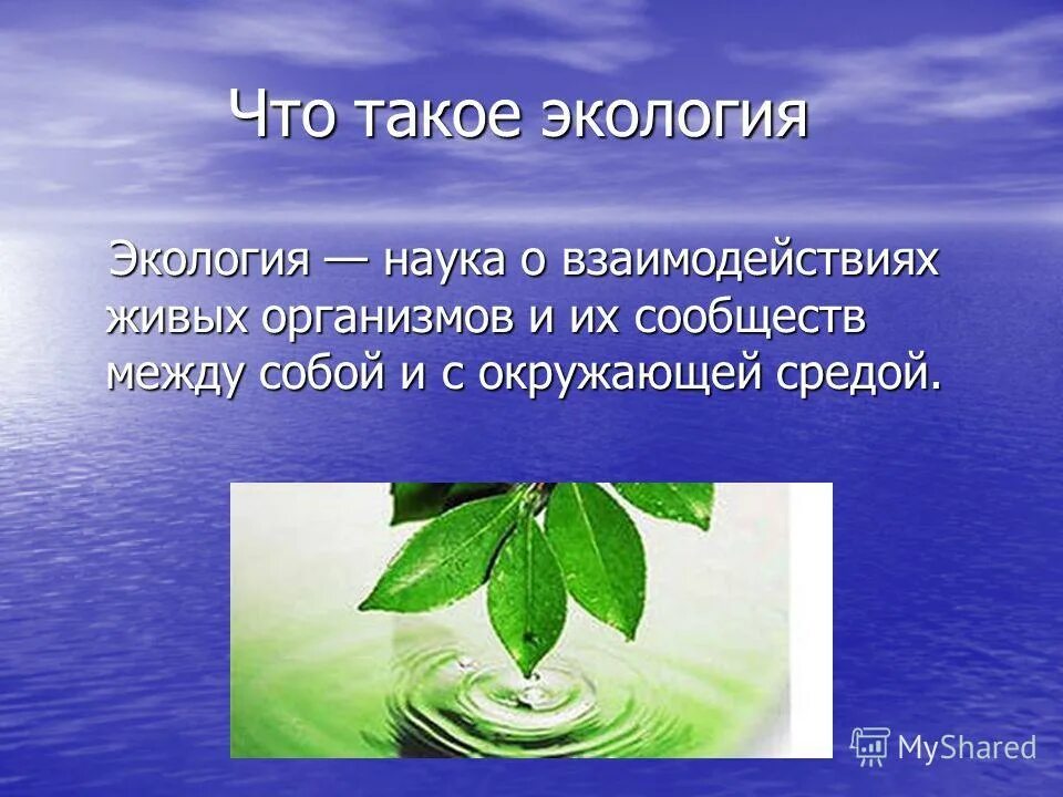 Наука экология помогает 3 класс. Тема для презентации по экологии. Презентация на экологическую тему. Экология презентация 2 класс. Что такое экология 2 класс.