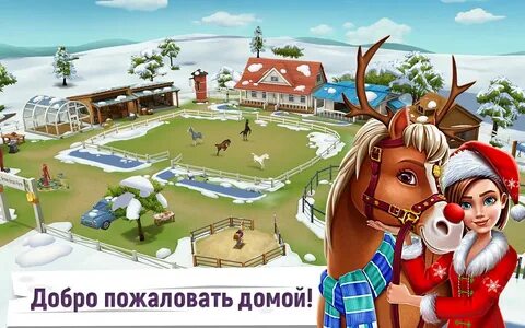 Horse story