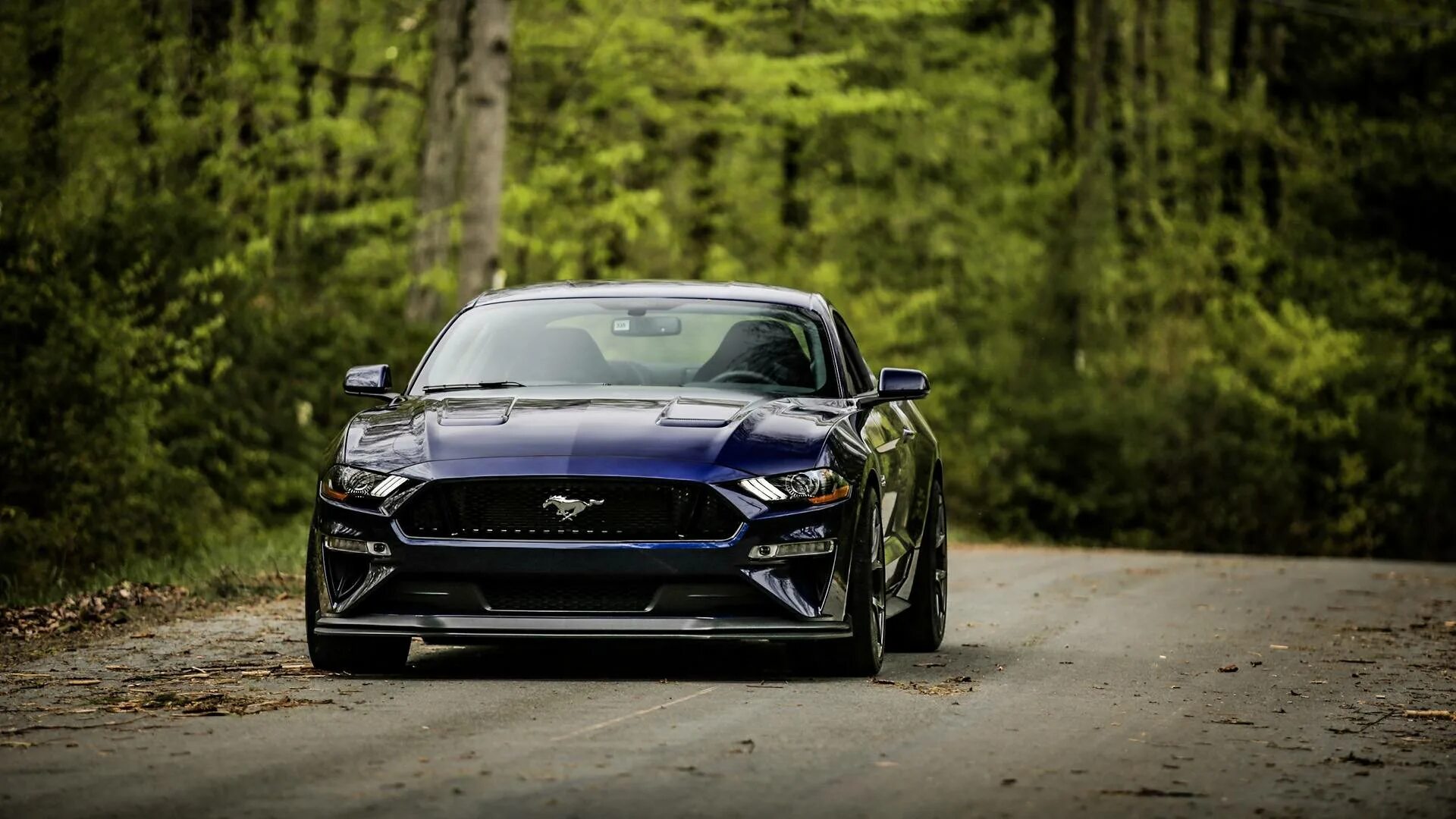 Gt performance. Ford Mustang gt pp2. Ford Mustang gt Performance. Ford Mustang gt Performance Pack. Ford Mustang Performance package.