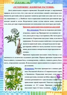 Ядовитые растения какое семейство
