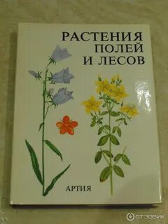 Растения полей и лесов