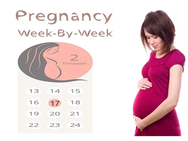 17 неделя отзывы. Pregnant 17 weeks. Беременность в 17 лет. Pregnant at 17. 17 Неделя беременности Nestle.