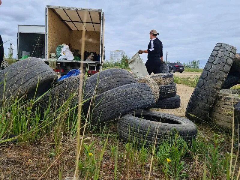 их памяти твардовский стих. свалка. куда их вывезли гуртом. 1959–1967». куда их вывезли гуртом.
