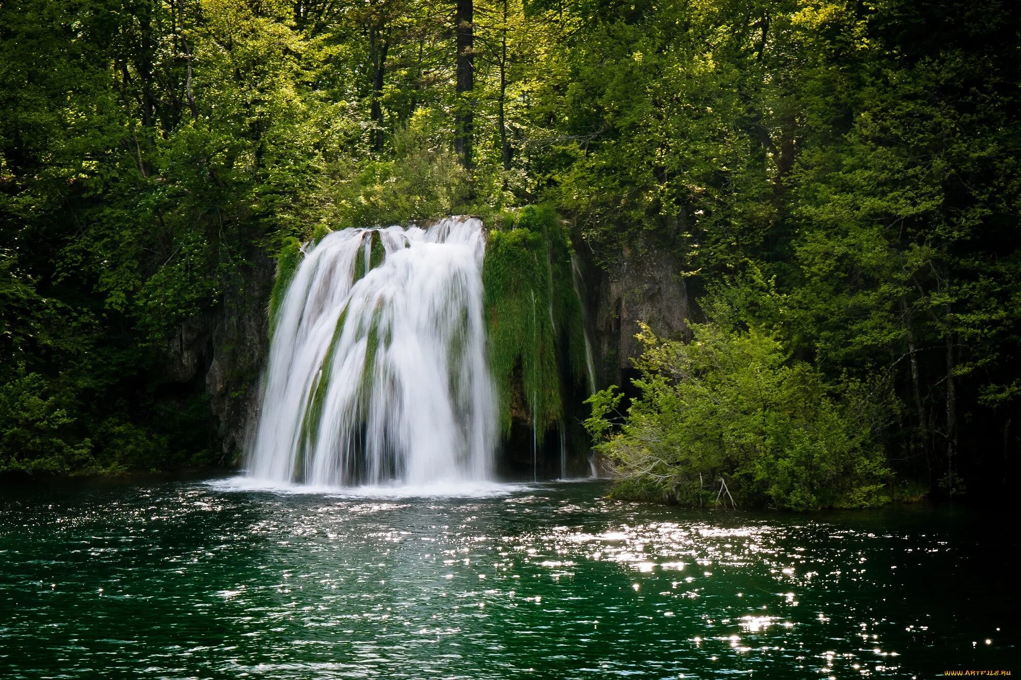 Озера водопад лес